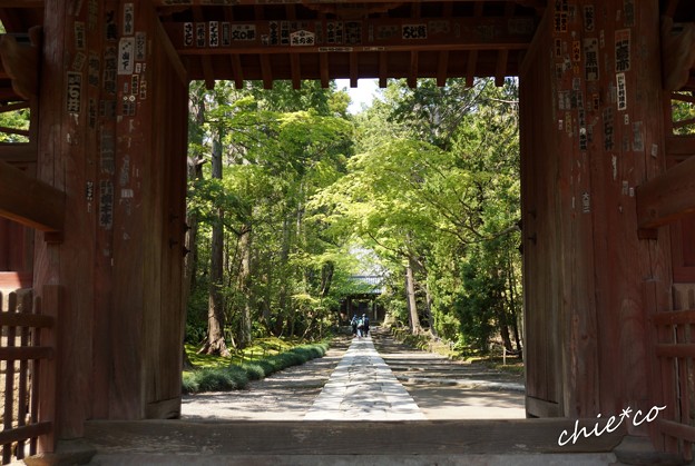 鎌倉-056