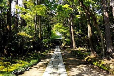 鎌倉-063