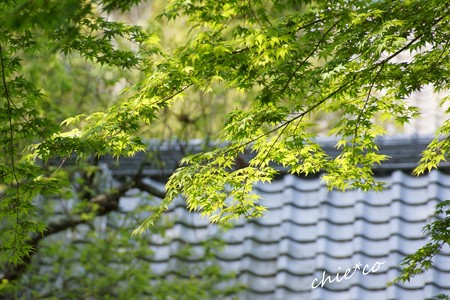 鎌倉-077