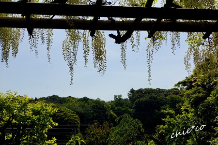英勝寺-039