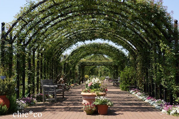 横浜 English Garden-002