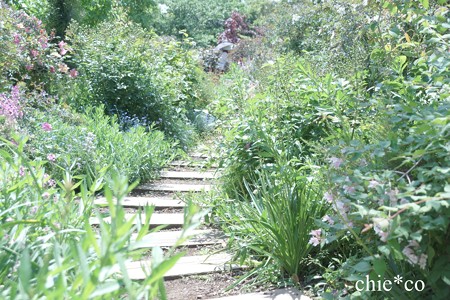 横浜 English Garden-248