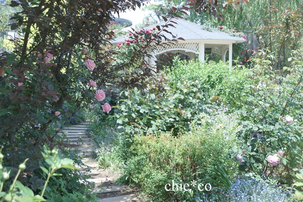 横浜 English Garden-282