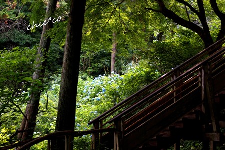北鎌倉-017