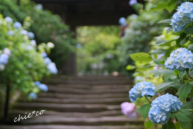 北鎌倉-035