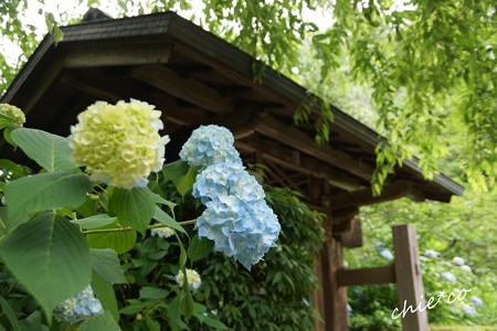 北鎌倉-038