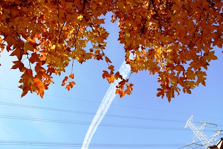 太いね~ 冬の飛行機雲・・♪