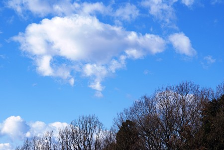 新春の青空・・