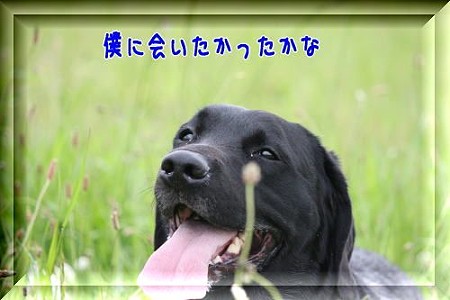 会いたかった