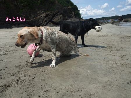 よっこらしょ