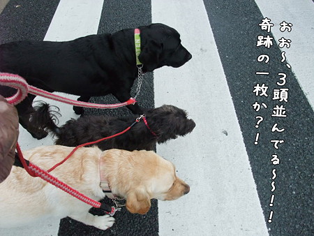 奇跡の一枚