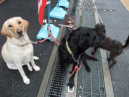 すぐさま