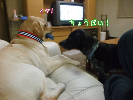 ちょうだい