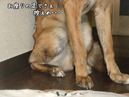 足も控えめ…