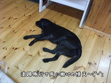 悟天