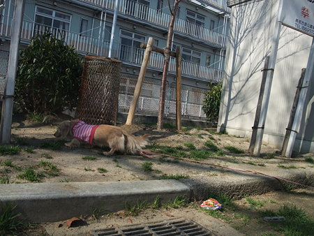 くるみ 091