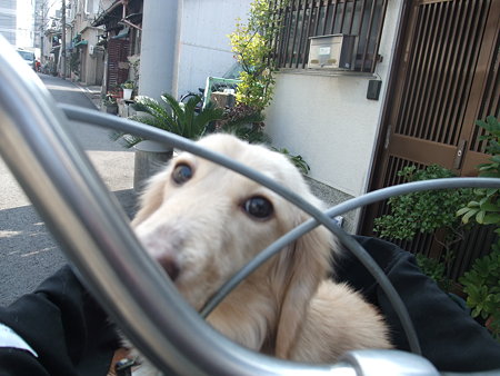 くるみ 300