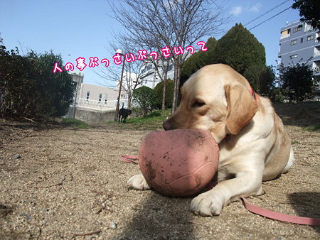 ひとのことぶっさいって