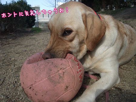 失礼ね