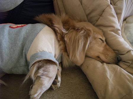 眠れるようになった