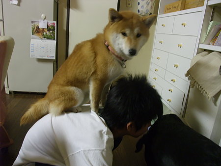 降りない…