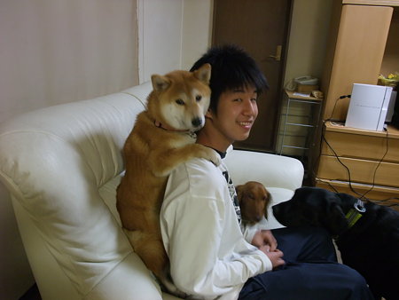 どうやっても降りない・・・