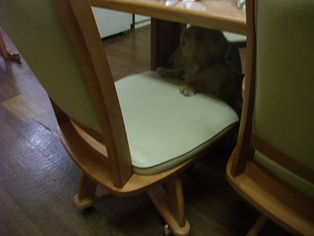 たまに登るの失敗する・・・