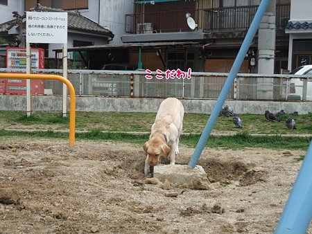 なんか発見!