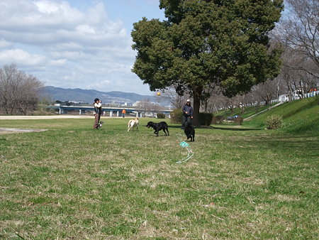 むっちゃ広くてエエ所やなぁ~