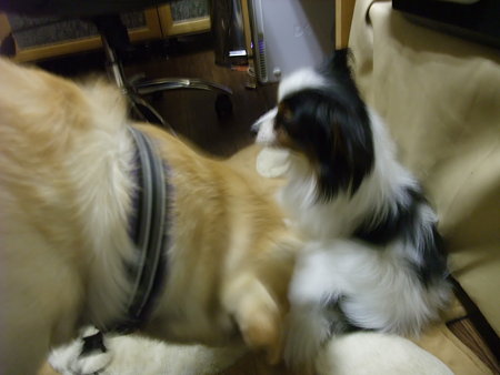 紫音も^^