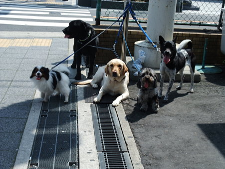 5頭で最後の写真になるか?!