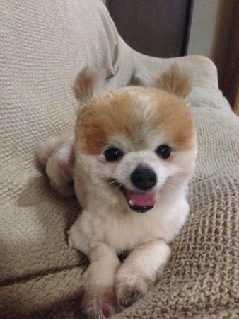 日向です