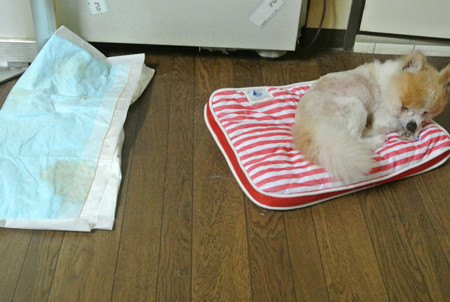 シートよ、ちょっとおどき!
