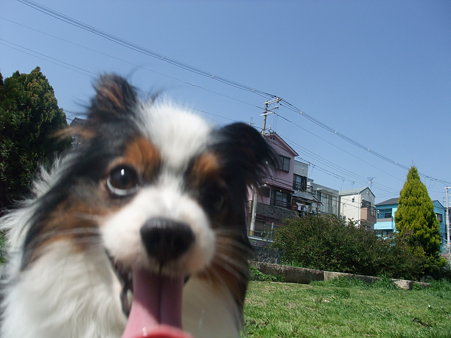 笑っててね