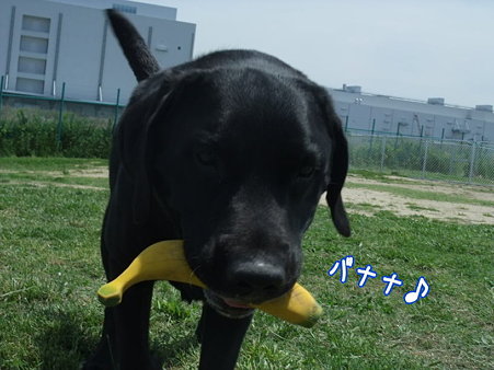 バナナ♪