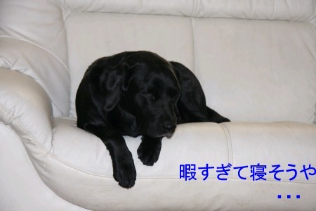 寝そう・・・
