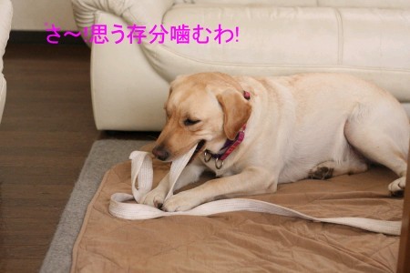 勝利の味