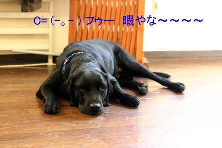 すぐ諦める男