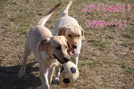 返せ