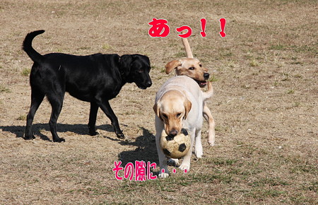 その隙に
