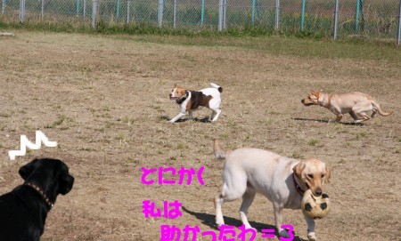 新たなターゲット