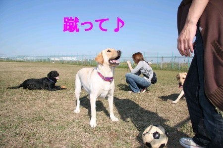蹴って♪