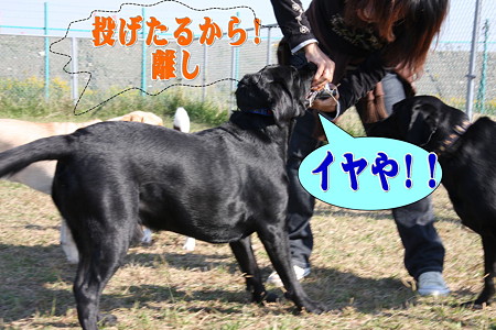 離さない