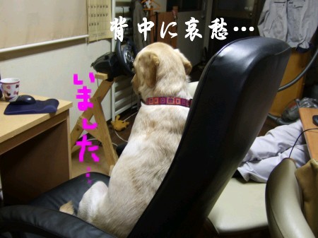 人間化紫音の行動