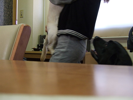 決定的瞬間のはずが・・・
