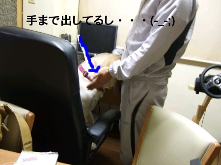 人間化紫音の行動・・