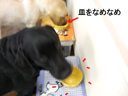 ご飯の時間 078