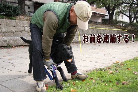 逮捕