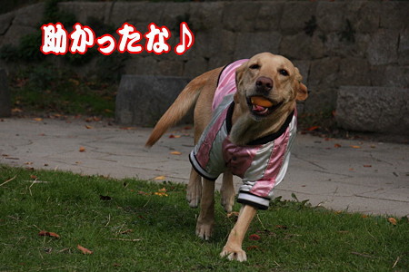 助かった
