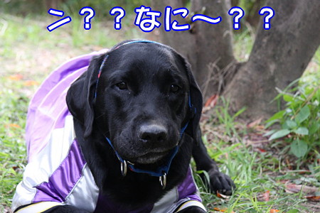 なに?